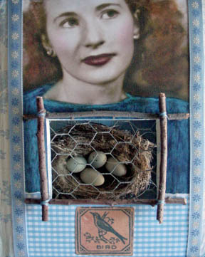 An altered bird's nest, manipulated and placed via rationality and free will by a human. An example of the gratuitous element of what distinguishes humans as true artists. karenswhimsy.com